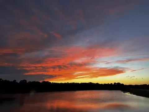 View/Area - 50 Sandy Palm Trl, Saint Augustine, FL 32086 photo 3 of 5