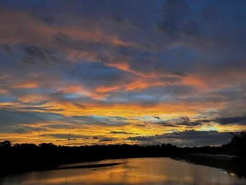 View/Area - 50 Sandy Palm Trl, Saint Augustine, FL 32086 photo 2 of 5