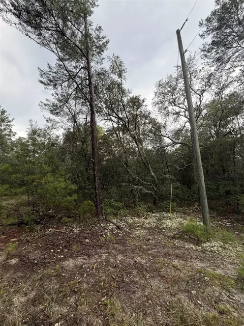 402 Deeda St, Florahome, FL 32140 photo 8