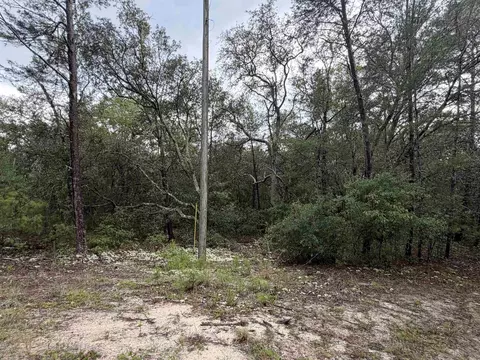 402 Deeda St, Florahome, FL 32140 photo 7