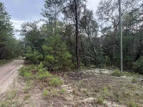 402 Deeda St, Florahome, FL 32140 photo 5