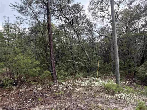402 Deeda St, Florahome, FL 32140 photo 3