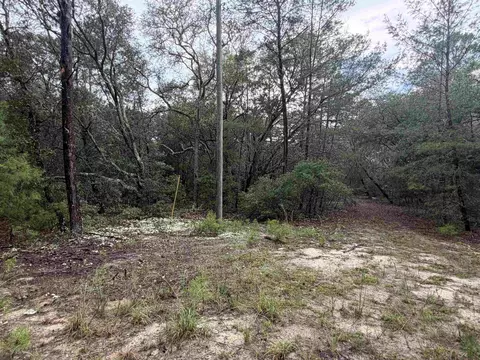 402 Deeda St, Florahome, FL 32140 photo 4