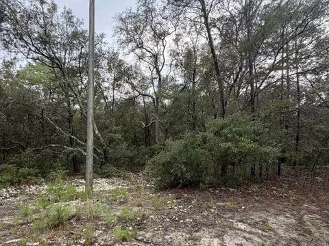 402 Deeda St, Florahome, FL 32140 photo 6
