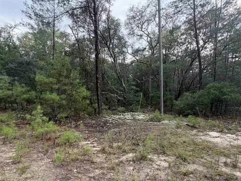 402 Deeda St, Florahome, FL 32140 photo 9