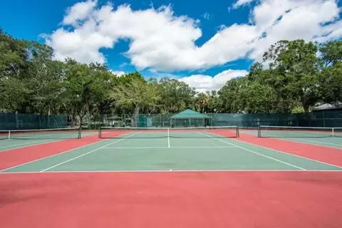 View/Area - 31 Catalonia Ct, Saint Augustine, FL 32086 photo 4 of 4