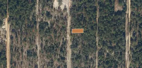 SW 57th Ave, Interlachen, FL 32148 photo 2