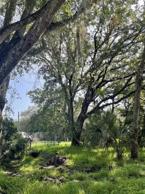0 Madrid St #LOT 1, Saint Augustine Beach, FL 32080 photo 3