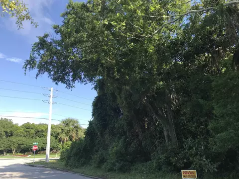 0 Madrid St #LOT 1, Saint Augustine Beach, FL 32080 photo 9
