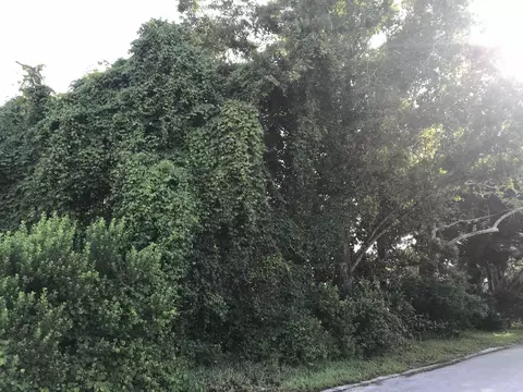 0 Madrid St #LOT 1, Saint Augustine Beach, FL 32080 photo 4