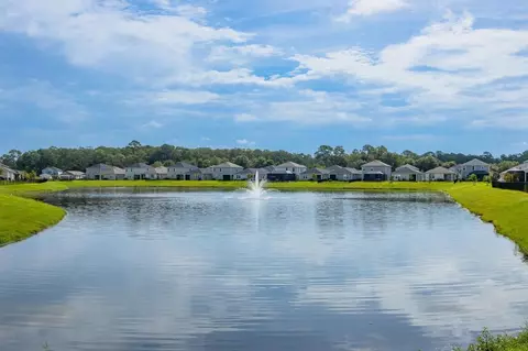 View/Area - 135 Cedar Elm Way, Saint Augustine, FL 32092 photo 1 of 1
