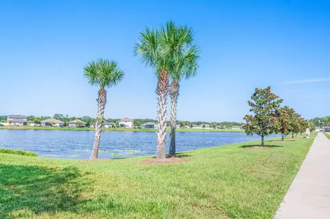 View/Area - 272 Deer Crossing Rd, Saint Augustine, FL 32086 photo 5 of 16