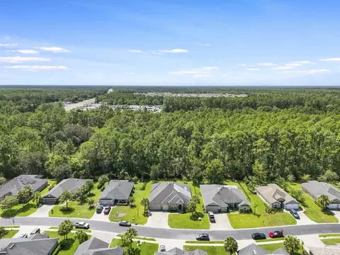View/Area - 133 Cereus Ln, Saint Augustine, FL 32086 photo 9 of 11