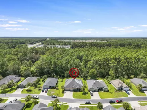 View/Area - 133 Cereus Ln, Saint Augustine, FL 32086 photo 1 of 11