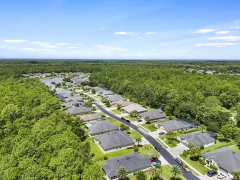 View/Area - 133 Cereus Ln, Saint Augustine, FL 32086 photo 7 of 11