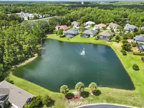 View/Area - 133 Cereus Ln, Saint Augustine, FL 32086 photo 3 of 11
