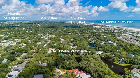 425 Ocean Forest Dr, Saint Augustine, FL 32080 photo 7