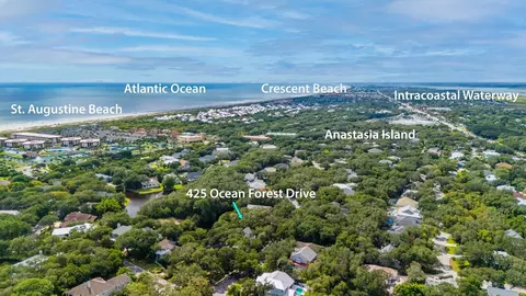 425 Ocean Forest Dr, Saint Augustine, FL 32080 photo 11