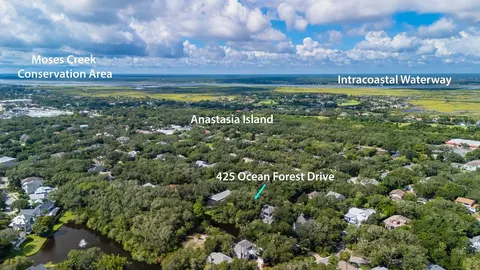 425 Ocean Forest Dr, Saint Augustine, FL 32080 photo 10