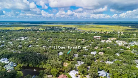 425 Ocean Forest Dr, Saint Augustine, FL 32080 photo 9