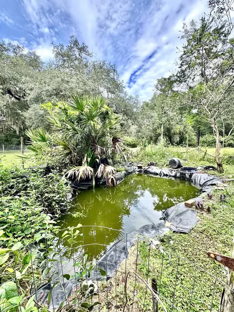 202 N Pine Ave, Florahome, FL 32140 photo 29