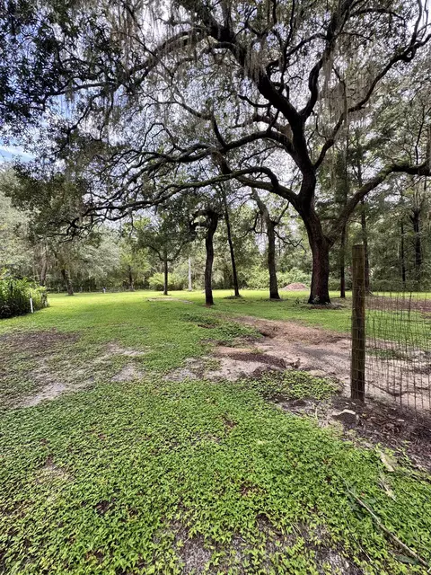 202 N Pine Ave, Florahome, FL 32140 photo 33