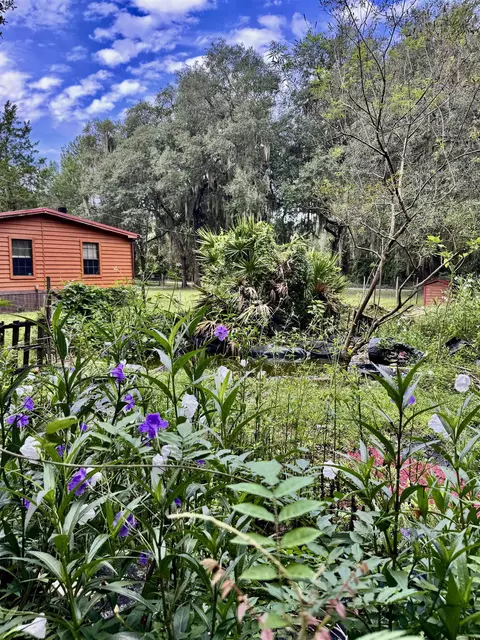 202 N Pine Ave, Florahome, FL 32140 photo 31