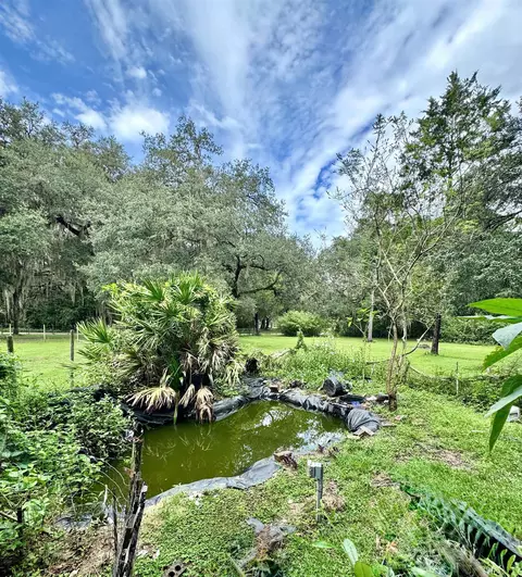 202 N Pine Ave, Florahome, FL 32140 photo 30
