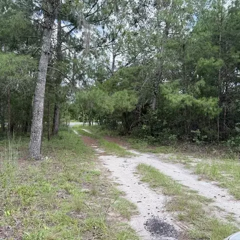 421 S County Road 315, Interlachen, FL 32148 photo 3