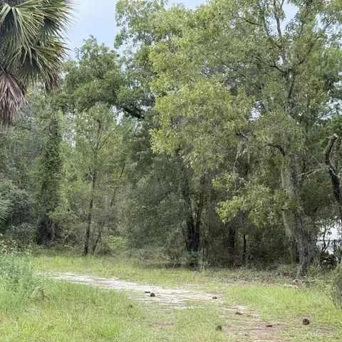 421 S County Road 315, Interlachen, FL 32148 photo 4