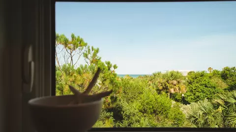 View/Area - 670 A1a Beach Blvd #D, Saint Augustine, FL 32080 photo 2 of 8