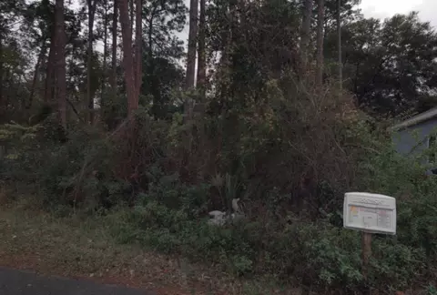 1105 Puryear St, Saint Augustine, FL 32084 photo 6