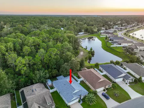 View/Area - 270 Green Turtle Ln, Saint Augustine, FL 32086 photo 4 of 9