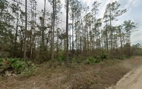 0 Glisson St, Interlachen, FL 32148