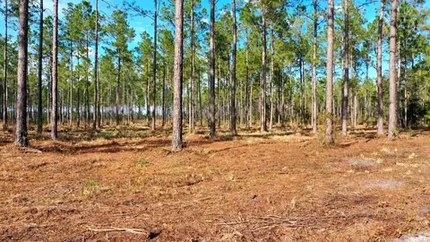 tbd NW County Road 235 #LOT 23, Lake Butler, FL 32054