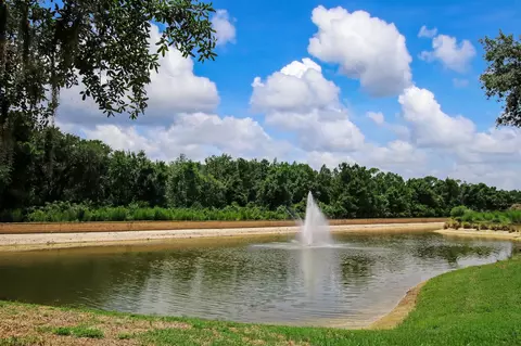 View/Area - 66 Ocale Ct, Saint Augustine, FL 32084 photo 10 of 11