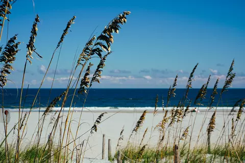 600 A1a Beach Blvd, Saint Augustine Beach, FL 32080 photo 21