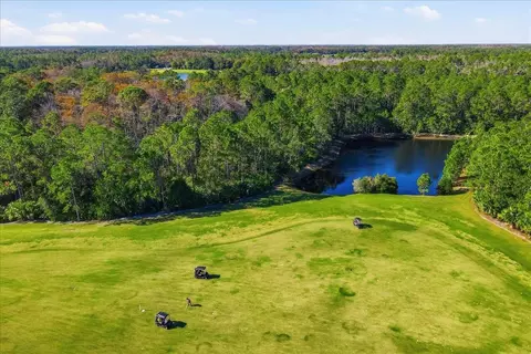 View/Area - 80 Bogey Pl, Bunnell, FL 32110 photo 10 of 22