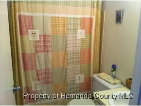 7482 Pond Cir, Spring Hill, FL 34606 photo 7