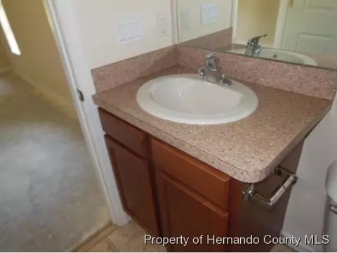 4366 Tartan Ave, Spring Hill, FL 34608 photo 11