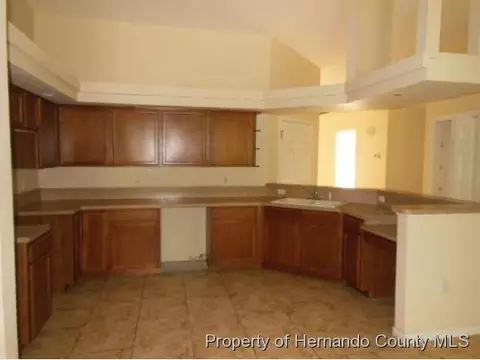 4366 Tartan Ave, Spring Hill, FL 34608 photo 18