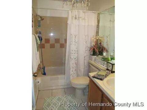 3405 Everett Ave, Spring Hill, FL 34609 photo 12