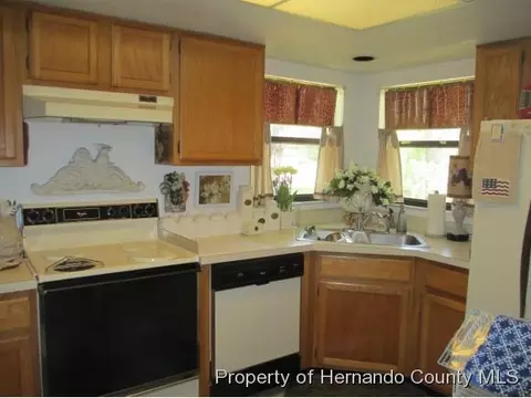 3405 Everett Ave, Spring Hill, FL 34609 photo 4