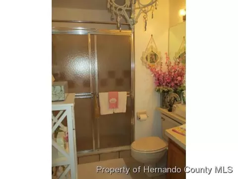 3405 Everett Ave, Spring Hill, FL 34609 photo 9