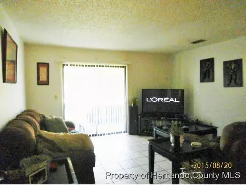 10313 Walton St, Spring Hill, FL 34608 photo 5