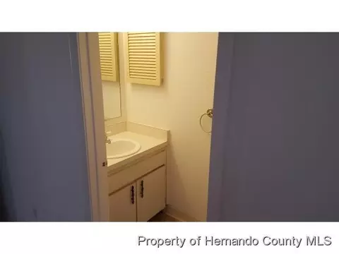 10312 Usher St, Spring Hill, FL 34608 photo 13