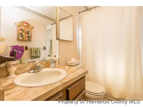4361 Azora Rd, Spring Hill, FL 34608 photo 13