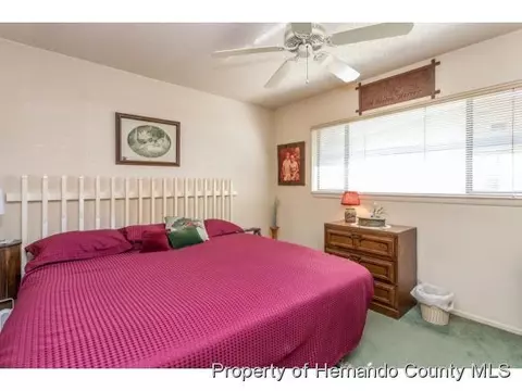 4361 Azora Rd, Spring Hill, FL 34608 photo 14