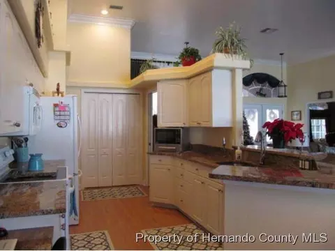 14197 Pullman, Spring Hill, FL 34609 photo 13