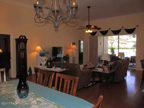 14197 Pullman, Spring Hill, FL 34609 photo 8